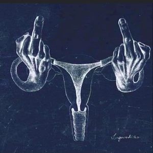 Meet your Posher, Suz